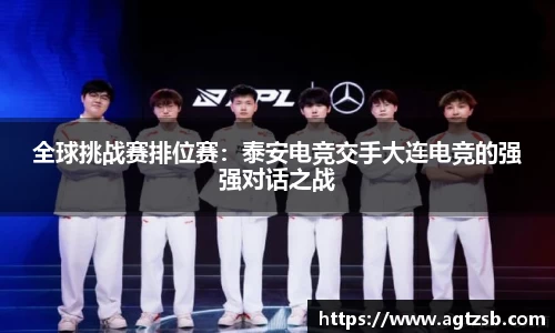 zoty中欧平台
