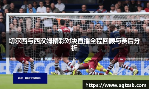 zoty中欧APP