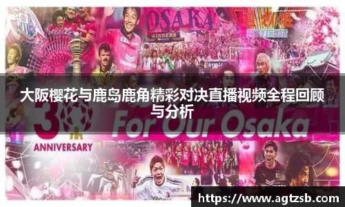 zoty中欧平台