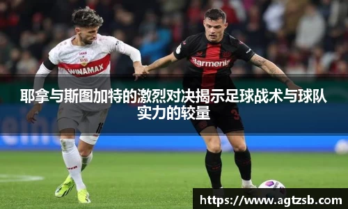 zoty中欧平台